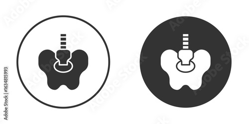 Pelvic area icons concept in solid versions. Flat design style.