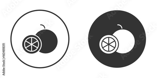 Grapefruit icons concept in solid versions. Flat design style.