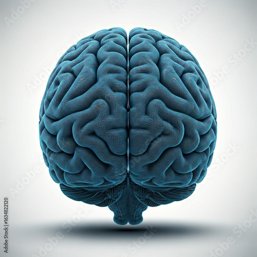 Anatomical illustration of human cerebrum showcasing its intricate convolutions and symmetrical hemispheres