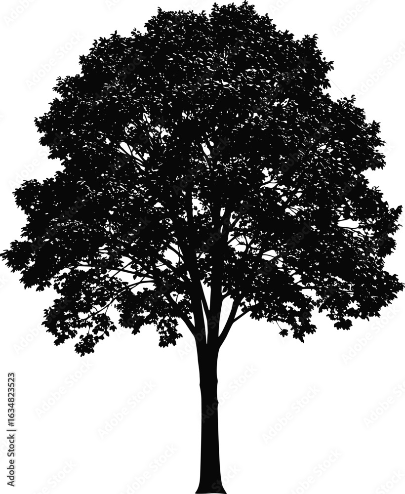 Fototapeta premium Single leafy tree silhouette illustration, detailed summer foliage, black tree vector graphic, isolated on white, natural environment design element