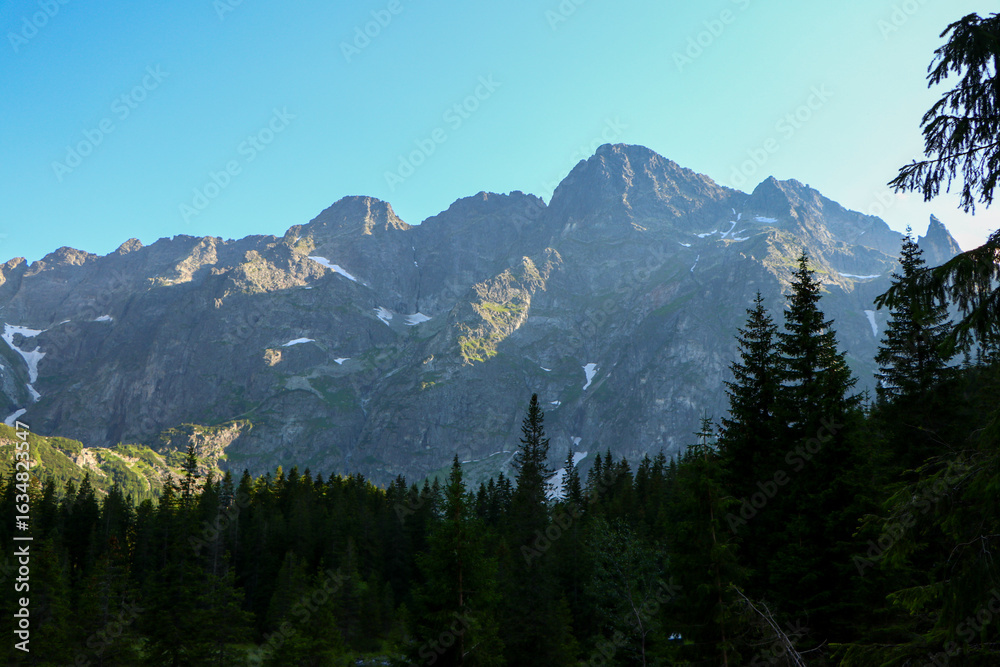 Fototapeta premium mount rainier national park