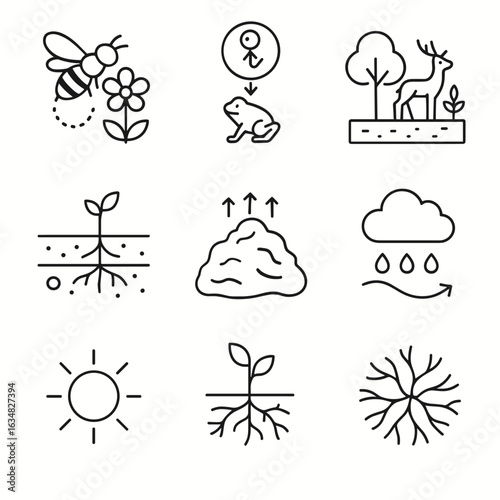 Ecology Icon Grid