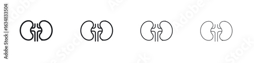 Kidney icon Eps10. icons graphic design