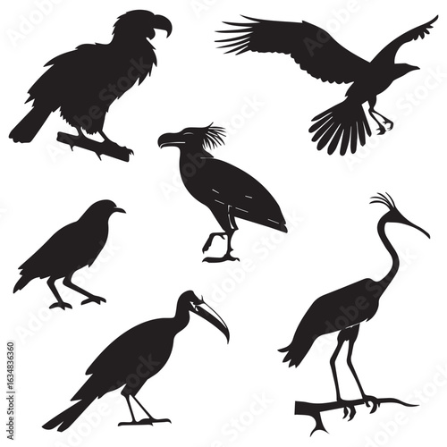 Collection of silhouettes of various birds including eagles vultures crows and herons in flight and standing