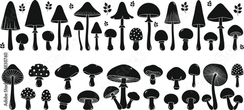 Mushroom silhouette vector set, forest fungi collection, black and white illustration, nature clipart, wild edible and poisonous mushroom art