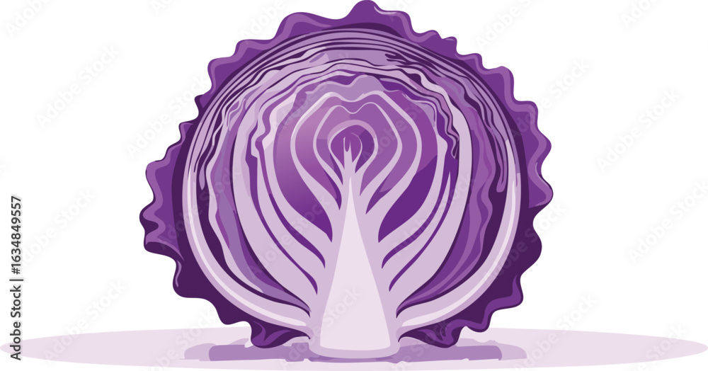 Obraz premium vector cabbage vegetable isolated on a transparent background.cabbage, healthy eating, leaf, food, organic, vegetable, clip art, leafy, sparse, colors, cut-out, flier, nourishment, produce,
