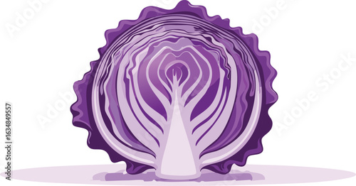 vector cabbage vegetable isolated on a transparent background.cabbage, healthy eating, leaf, food, organic, vegetable, clip art, leafy, sparse, colors, cut-out, flier, nourishment, produce,