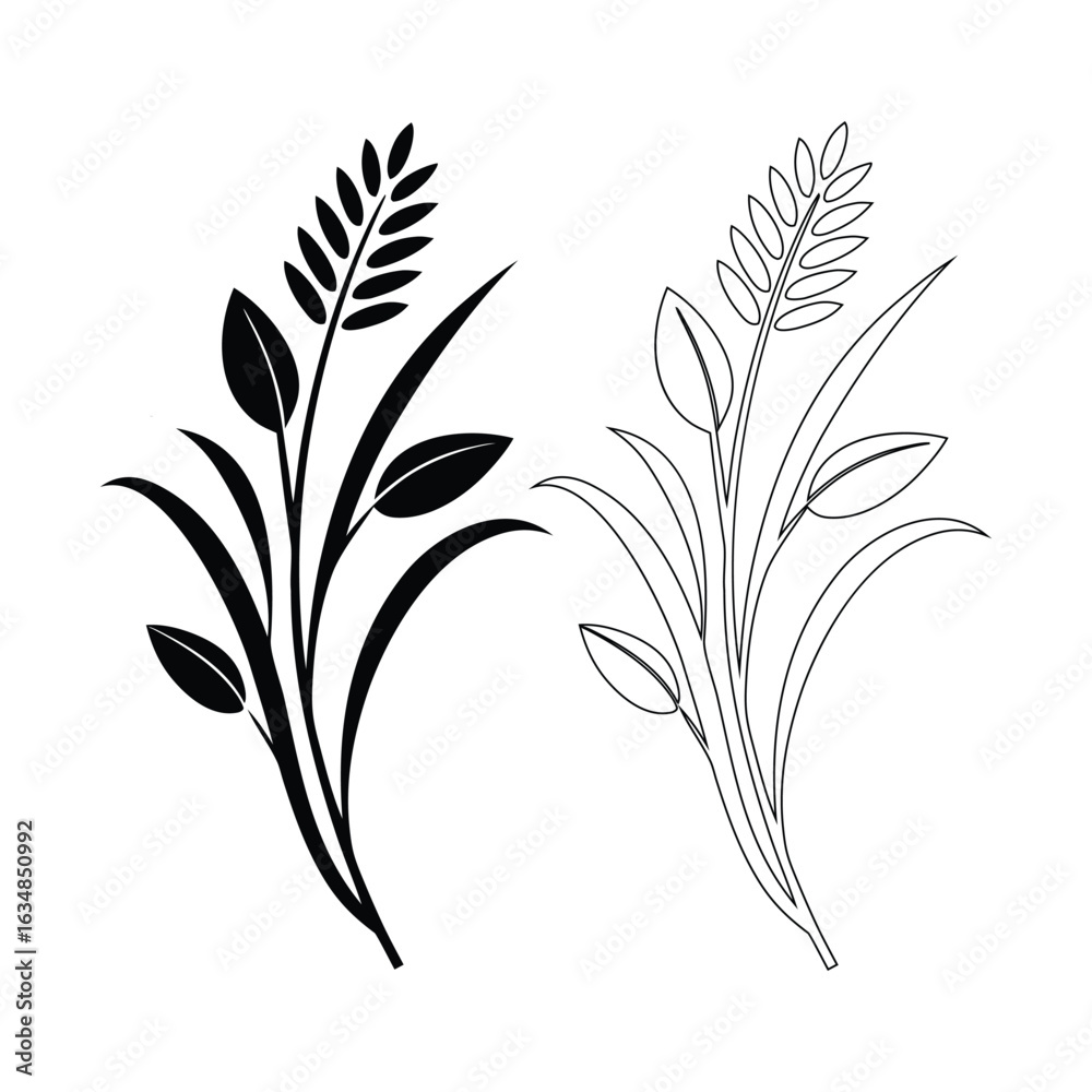 Fototapeta premium Rice plant with grain and leaves