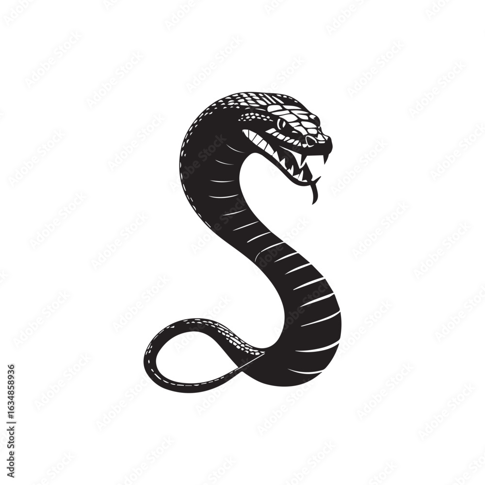 Fototapeta premium Vector art of stylized black and white illustration of a coiled cobra snake with open fangs, isolated on white background