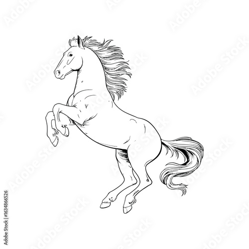 Black and white illustration of a horse rearing up on hind legs animal