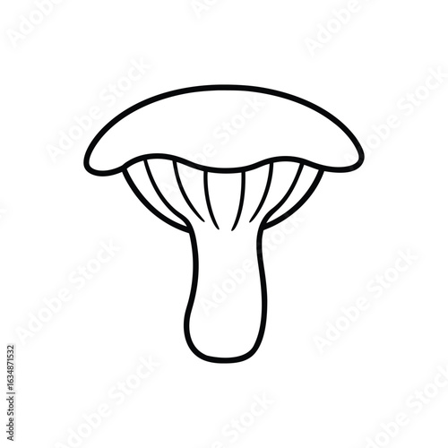 oyster mushroom line art