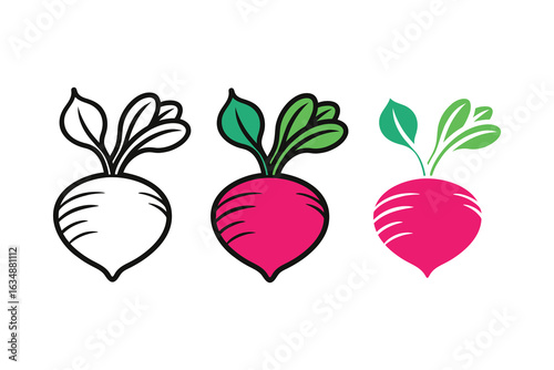 Radish root vegetable icon set. Vector illustration collection in line art, flat color, and stylized glyph designs.