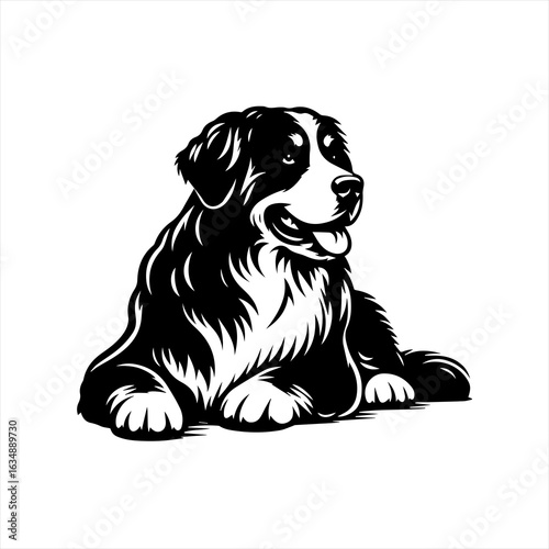 Bernese Mountain Dog Silhouette Portrait.