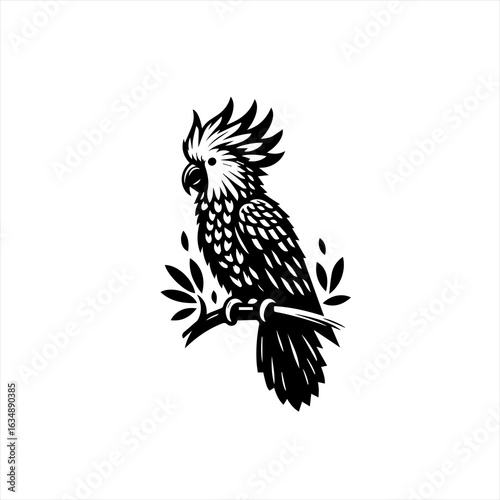 Black and White Cockatoo Perched on Branch.
