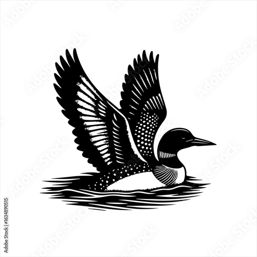 Black and White Loon Bird in Water.