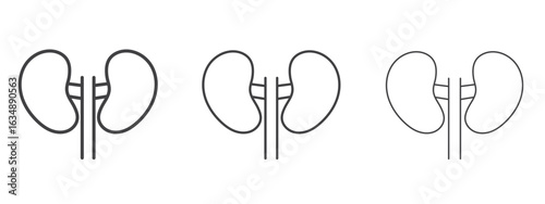 Kidney icon in line art doodle style. Editable stroke outline sign, eps 10