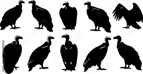 Collection of Vulture Silhouettes in Various Poses