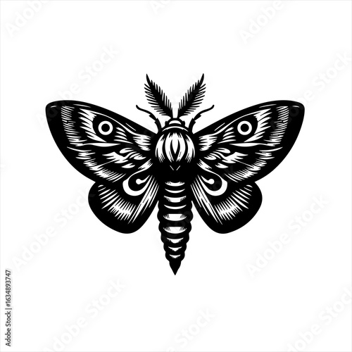 Intricate Black and White Moth Illustration.
