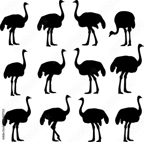 Ostrich Silhouettes in Various Standing and Walking Poses