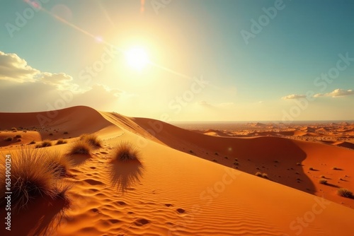 Vast Kalahari expanse, sun-drenched dunes and scrub , wide, expansive