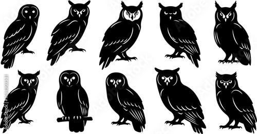 Collection of Owl Silhouettes with Different Poses