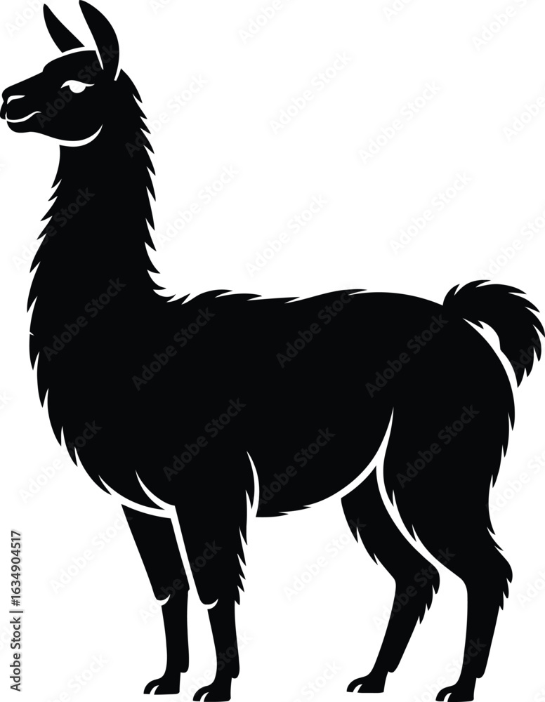 Fototapeta premium Black Silhouette of a Llama Standing Side View Illustration