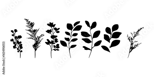 Elegant silhouettes of various leaves showcase intricate details and unique shapes