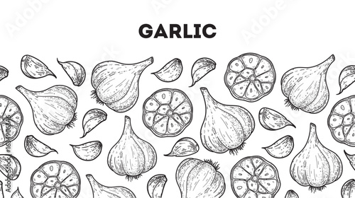 Garlic sketch. Horizontal seamless pattern. Hand drawn vector illustration. Garlic set. Kitchen spice