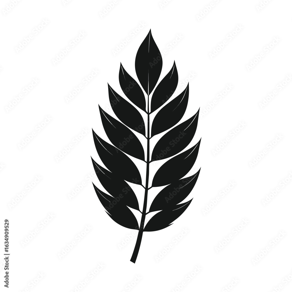 Fototapeta premium Ash Leaf Silhouette Vector – Fraxinus Leaf Shape in Black on White Background