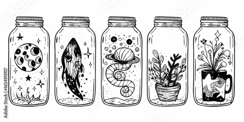 Whimsical jars containing celestial and botanical wonders