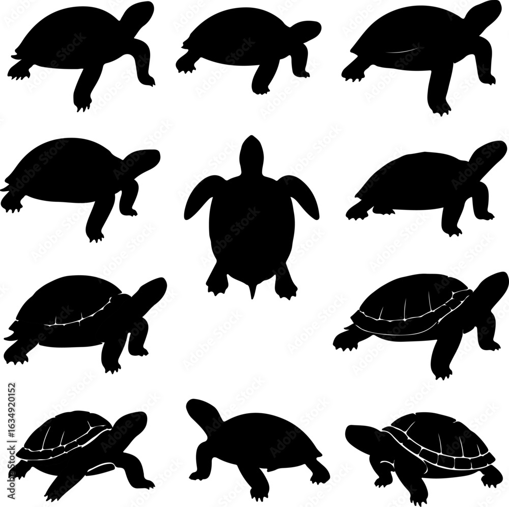 Obraz premium Sea Turtle and Tortoise Silhouettes in Various Poses