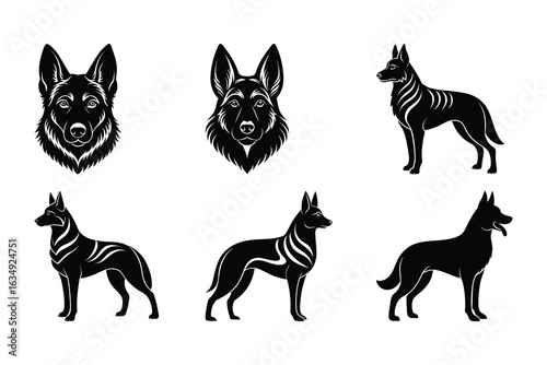 German shepherd dog portraits and silhouettes canine