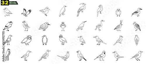 Collection of 32 diverse black and white line art bird illustrations birds