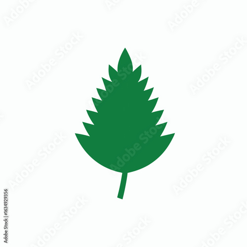 Colorful toothed leaves with ramifications