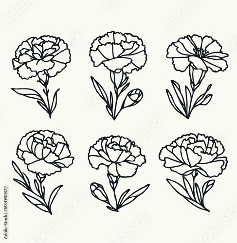Elegant Carnation Floral Collection Hand-Drawn Botanical Illustrations. Line art flowers Drawings. Flower bloom illustration, black and white Doodle. Doodle flower illustration, Blossom Outlined.