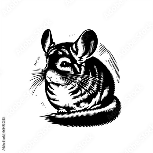 Black and White Chinchilla Illustration Vector.