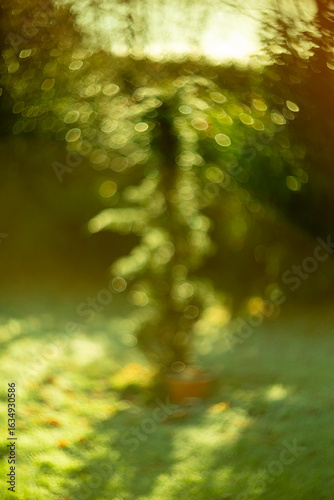 Dreamy Nature Background with Beautifully Blurred Greenery and Soft Light Enhancements