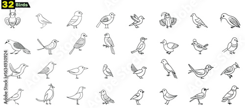Thirty two black and white line drawings of various birds on a white background illustration
