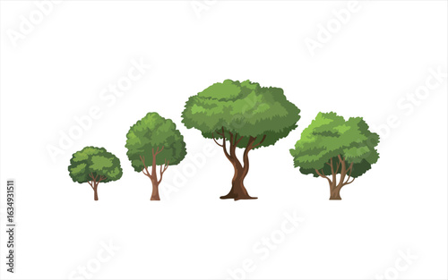 Various tree vectors. Forest and nature concept. Collection of different tree symbols. Education and training poster design. Vector drawn for plant and tree presentation.