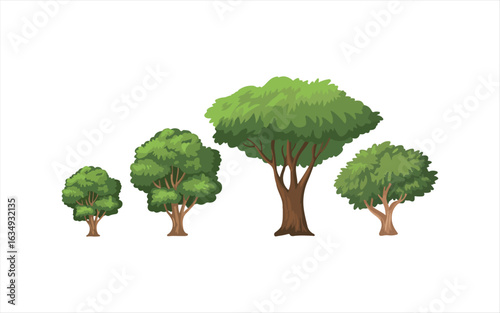 Various tree vectors. Forest and nature concept. Collection of different tree symbols. Education and training poster design. Vector drawn for plant and tree presentation.