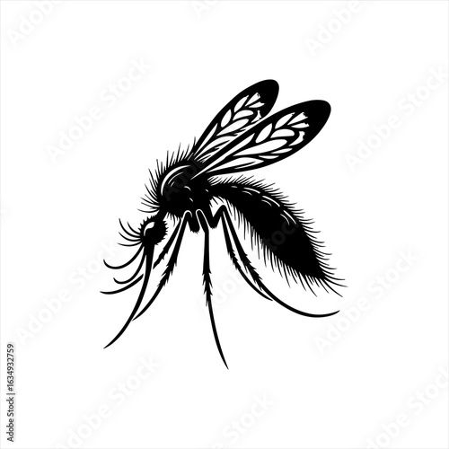 Mosquito Insect Vector Illustration Silhouette.