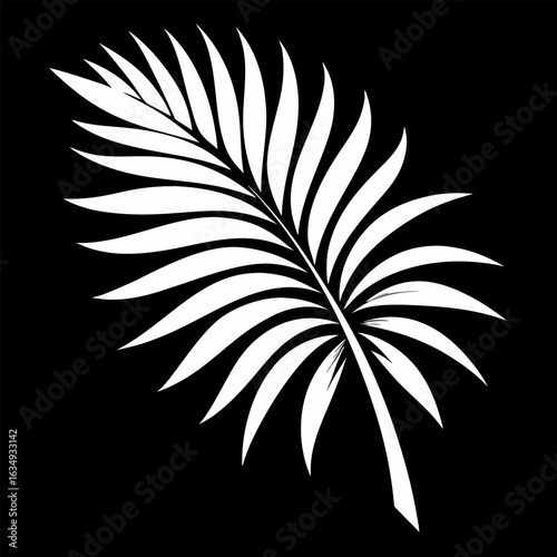 Palm tree leaf silhouette logo. White icon palm branch isolated on black background. Vector illustration front view