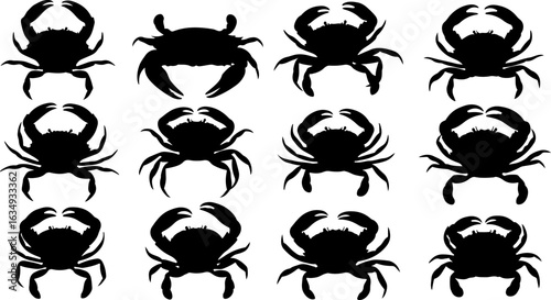 Crab Silhouette Collection: Diverse Crab Poses