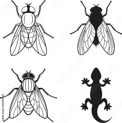 Vector Illustration of Flies and Lizard in Black and White for Educational or Design Purposes Graphic Design Element