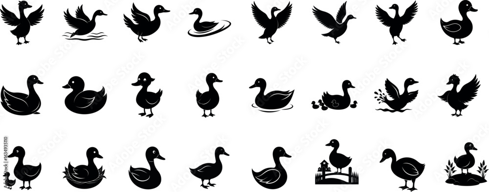 Obraz premium Duck Silhouette Bundle – Flying, Swimming, Standing Ducks Vector Set | Black Animal Wildlife Clipart