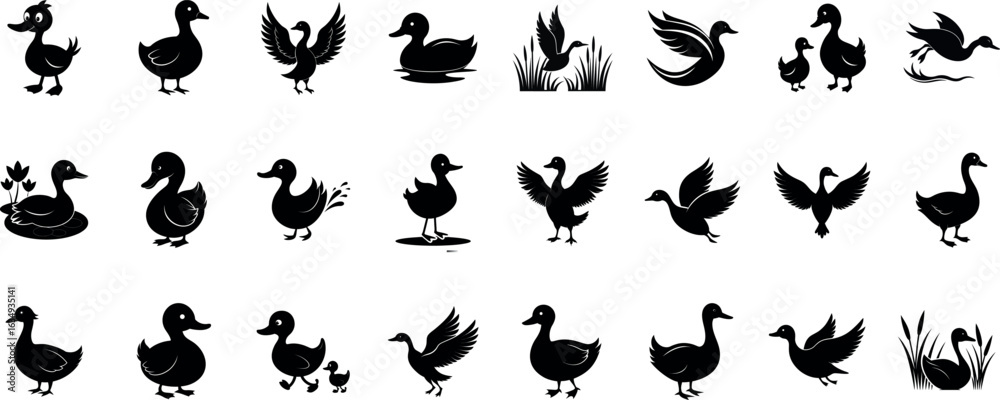 Fototapeta premium Duck Silhouette Bundle – Flying, Swimming, Standing Ducks Vector Set | Black Animal Wildlife Clipart