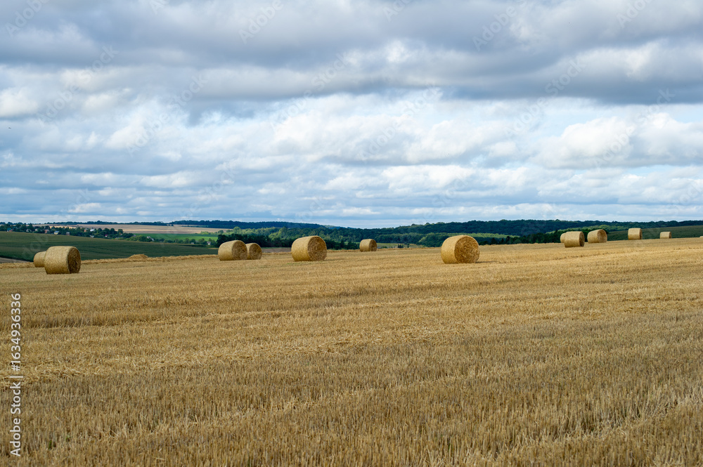 Fototapeta premium Golden hay bales rest across a patchwork field under a softly clouded sky.