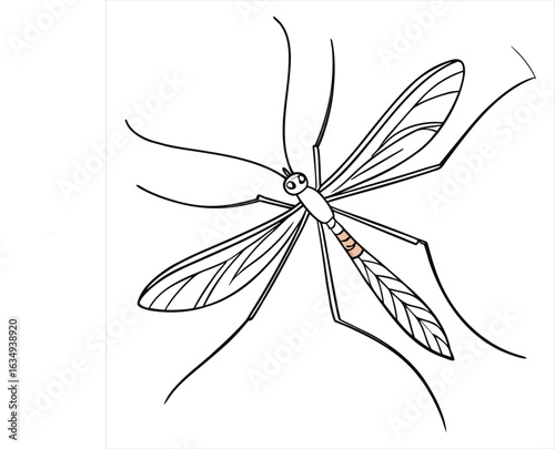 set of butterflies isolated on white
