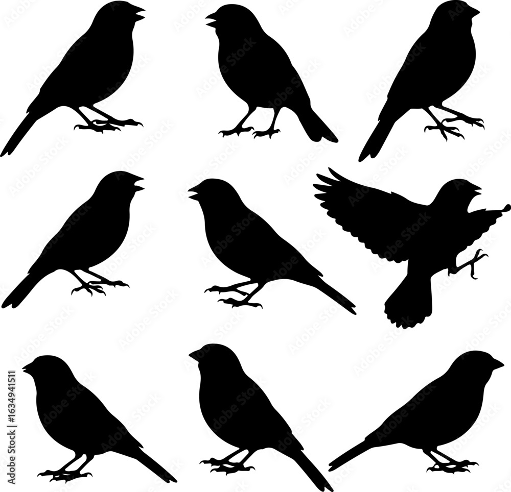 Fototapeta premium Bird Silhouette Collection: Dynamic Flight and Perch Poses