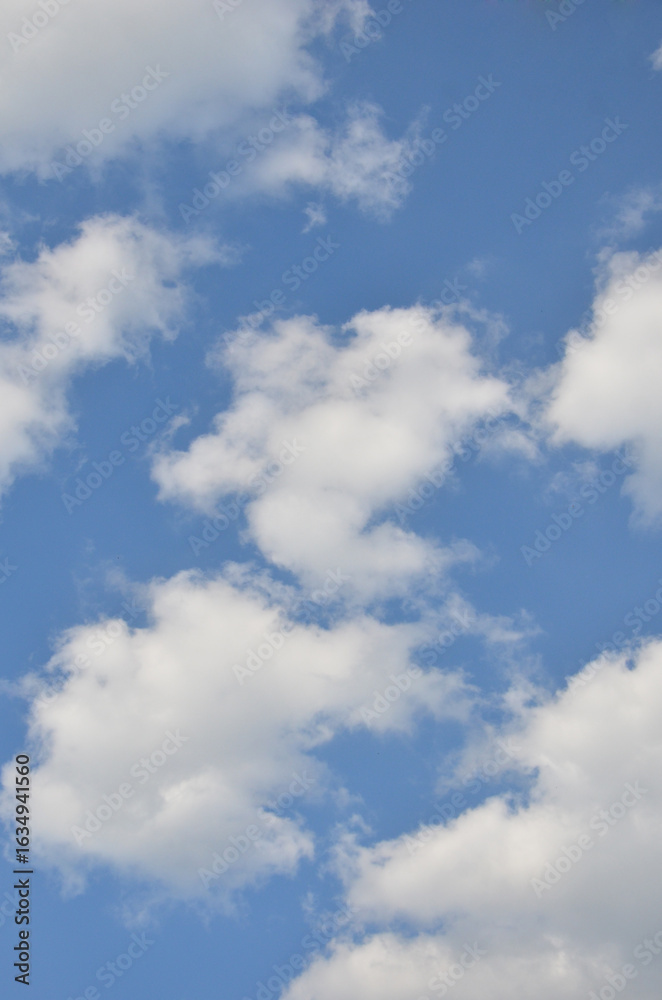 Fototapeta premium Vertical blue sky background with fluffy white clouds on the middle and at the edges .Sky in sunny day , nature landscape.